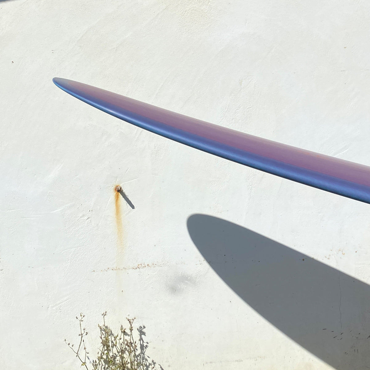 gH ~ 8&#39;9 SPACE PIG