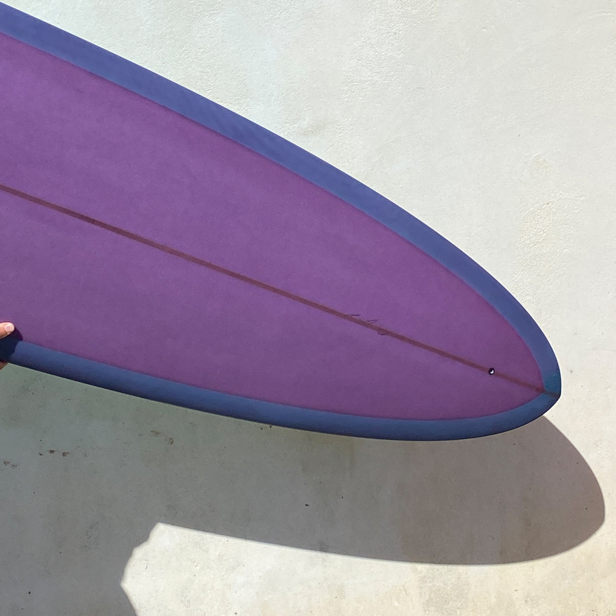 gH ~ 8&#39;9 SPACE PIG